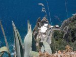 il sentiero delle agavi in fiore costiera amalfitana